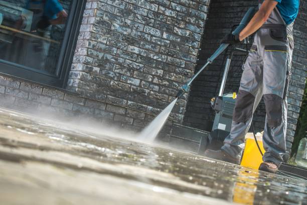 Best Pool Deck Cleaning  in Buena Vista, CO