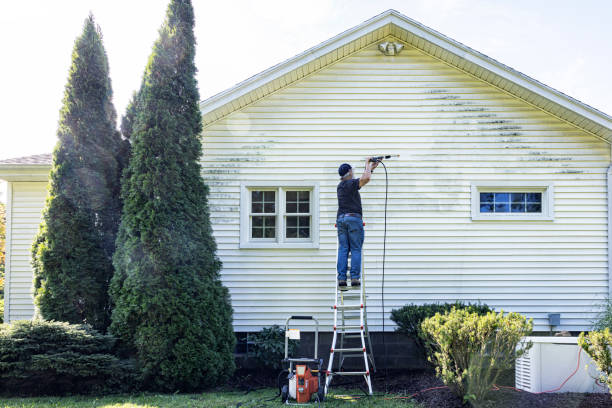 Best Parking Lot and Garage Cleaning  in Buena Vista, CO
